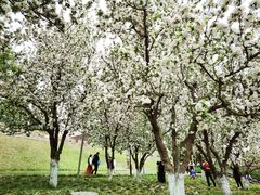 -元大都城垣遗址公园