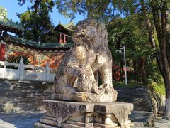 -报恩寺(平武县)