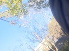 -云南师范大学(一二一西南联大校区)