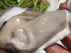-杨氏青龙虾·羊蝎子(托乐嘉店)