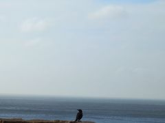 -东极岛景区