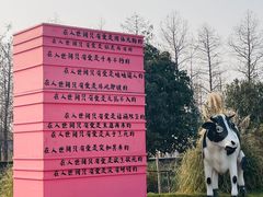 -荷兰花海