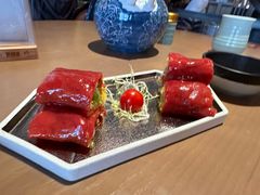-岭南站NOVA