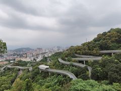 -福道