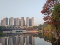 -重庆彩云湖湿地公园
