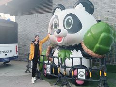 -都江堰中华大熊猫苑