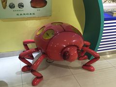 -上海昆虫博物馆