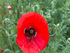 -祥源·阜阳生态乐园