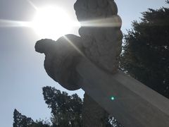 -卢沟桥文化旅游区