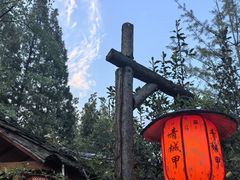 -青城甲(青城山店)