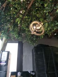 -V-STAR威斯达•高级私人定制