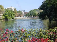 -荔湾湖公园