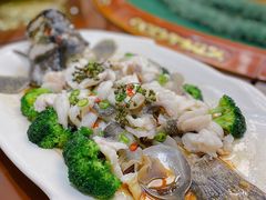 清蒸大龙胆-南海渔村(火炬园店)