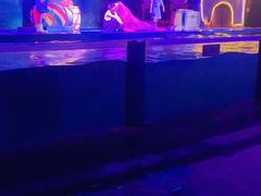 -大连圣亚海洋世界