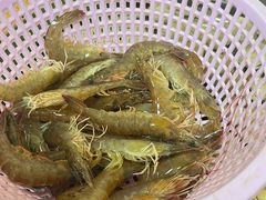 明虾-船奇蒸汽海鲜·闽菜(八市海鲜总店)