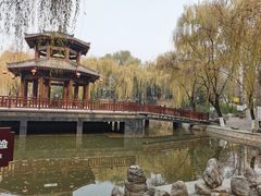 -西安市长乐公园