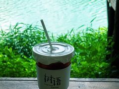-广州市流溪河国家森林公园