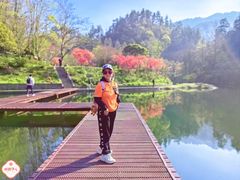 -武当山风景区-太子坡