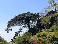 -泰山风景名胜区