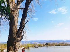 -西昌邛海湿地