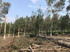 -东郊湿地公园
