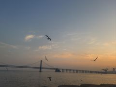 -星海广场