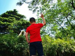 -山东大学(趵突泉校区)