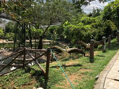 -吉隆坡雀鸟公园