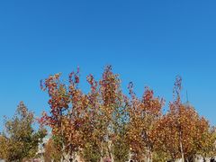 -海合安苏州阳澄半岛乐园