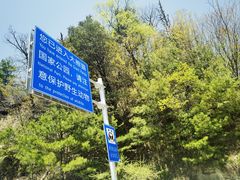 -黑河国家森林公园