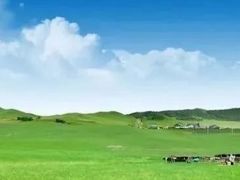 -希拉穆仁草原