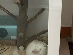 -龙猫仔乐园(惠福东路店)