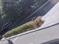 -万达瑞华酒店美食汇自助餐厅(楚河汉街店)