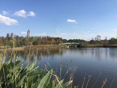 -上海长兴岛郊野公园