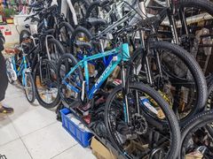 -道路口单车爱瓦士dahon大行