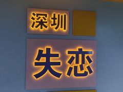 -深圳独角兽星空艺术馆