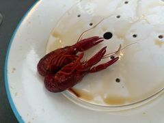 -杨氏青龙虾·羊蝎子(珠江路店)