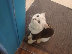 -瑞幸咖啡(巴黎春天陕西路店)