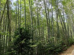 -千泷沟大瀑布旅游区