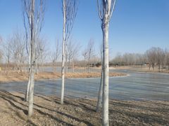 -东郊湿地公园