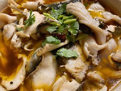 -雲蜀龙阁·金牌水煮鱼(方庄店)