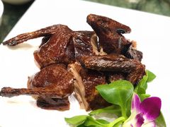 烤乳鸽-中苑海韵