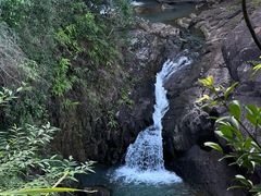 -广州白江湖森林公园