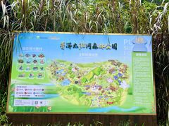 -普洱太阳河森林公园