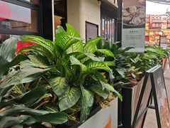 -KŌNG胶东小馆(华熙店)