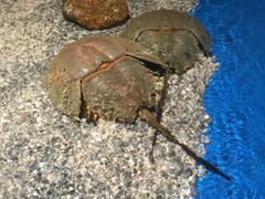 -欢乐海岸海洋奇梦馆