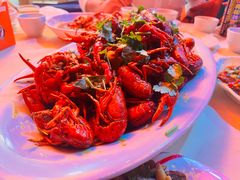 麻辣小龙虾-麻小度青花椒鱼蛙火锅