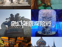 -哈尔滨波塞冬海底世界