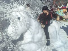 -沈阳奥体冰雪嘉年华