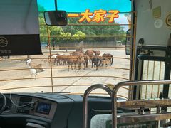 -上海野生动物园